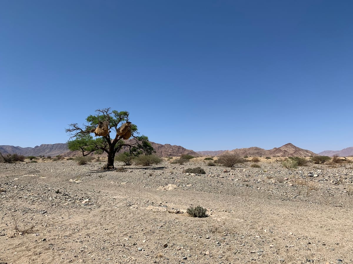 Sesriem - Elegant Desert Camp Tag 1