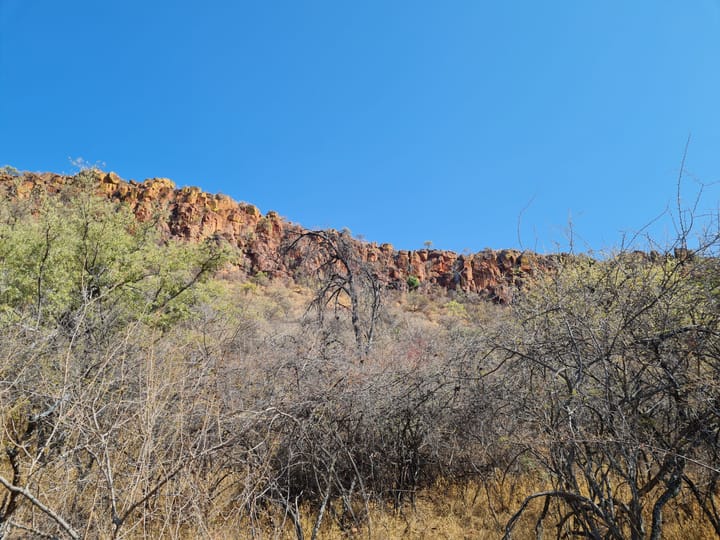 Waterberg Guest Farm - Tag 2
