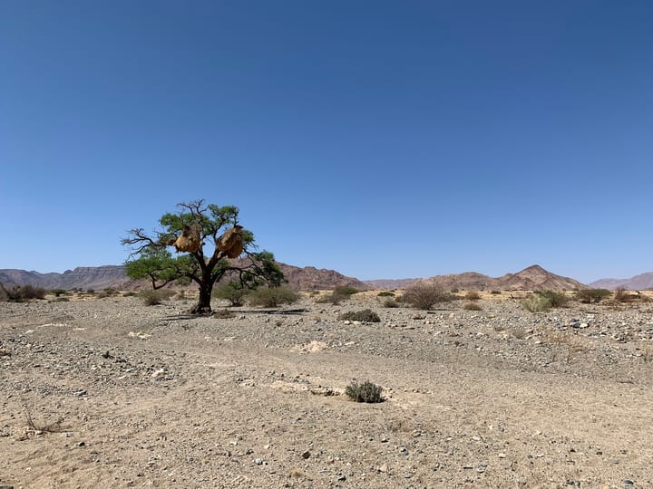 Sesriem - Elegant Desert Camp Tag 1