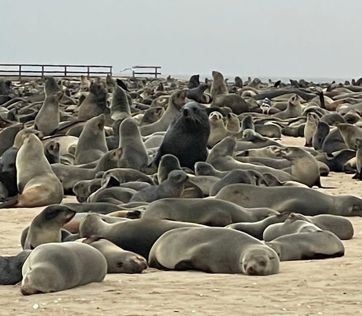 Swakopmund - Tag 2