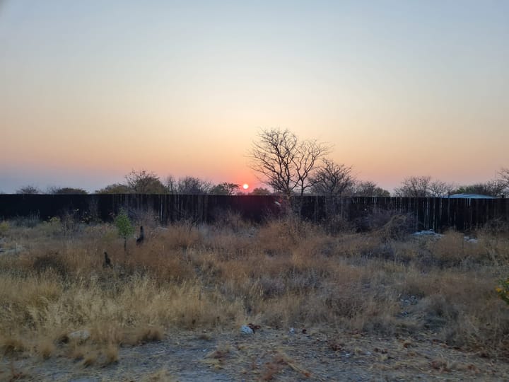 Etosha South - Tag 2